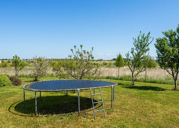 Sveciu Namai Tuopa Nemirsetoje Palangoje Połąga